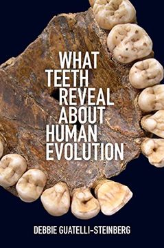 portada What Teeth Reveal about Human Evolution