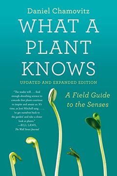portada What a Plant Knows: A Field Guide to the Senses: Updated and Expanded Edition 