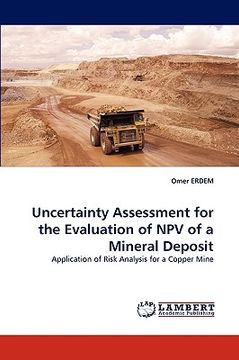 portada uncertainty assessment for the evaluation of npv of a mineral deposit (in English)