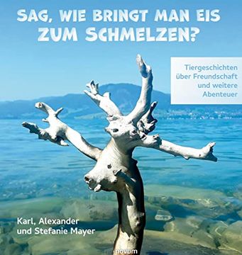 portada Sag, wie Bringt man eis zum Schmelzen? Tiergeschichten Über Freundschaft und Weitere Abenteuer (in German)