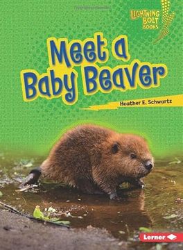 portada Meet a Baby Beaver (en Inglés)