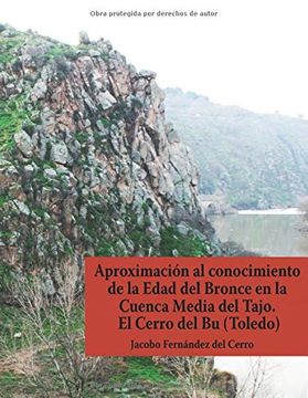 portada Aproximación al Conocimiento de la Edad del Bronce en la Cuenca Media del Tajo. El Cerro del bu (Toledo) (in Spanish)
