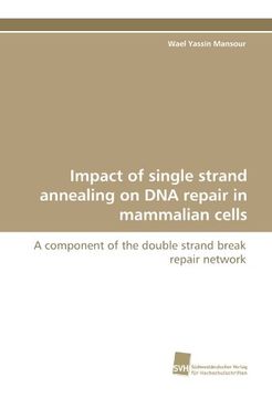portada Impact of single strand annealing on DNA repair in mammalian cells: A component of the double strand break repair network