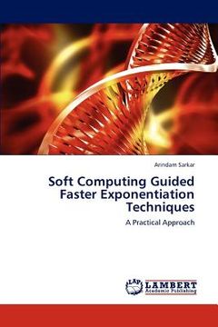 portada soft computing guided faster exponentiation techniques (en Inglés)