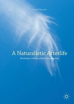 portada A Naturalistic Afterlife: Evolution, Ordinary Existence, Eternity