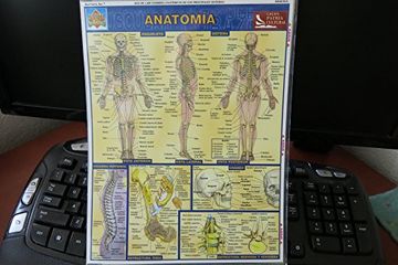 portada anatomia