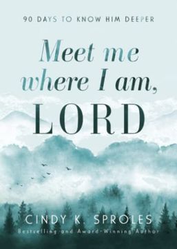 portada Meet me Where i am, Lord: 90 Days to Know him Deeper (en Inglés)