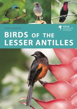 portada Birds of the Lesser Antilles (in English)