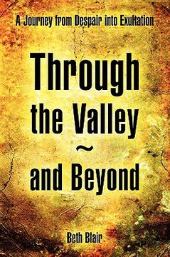 portada through the valley and beyond (en Inglés)