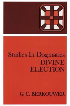 portada divine election (en Inglés)