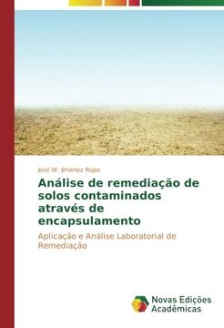 portada Análise de remediação de solos contaminados através de encapsulamento