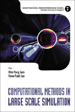 portada Computational Methods in Large Scale Simulation (en Inglés)