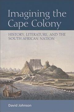 portada imagining the cape colony: history, literature, and the south african nation (in English)