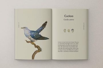 The Book of Birds: A Field Guide to Wonder and Loss