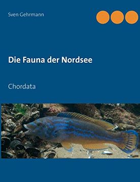 portada Die Fauna der Nordsee (en Alemán)