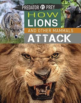 portada Predator Vs Prey: How Lions and Other Mammals Attack! (en Inglés)