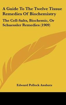 portada a guide to the twelve tissue remedies of biochemistry: the cell-salts, biochemic, or schuessler remedies (1909)