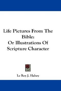 portada life pictures from the bible: or illustrations of scripture character (en Inglés)