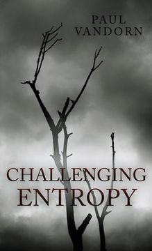 portada Challenging Entropy (en Inglés)