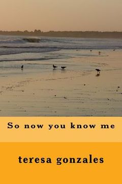 portada so now you know me (in English)