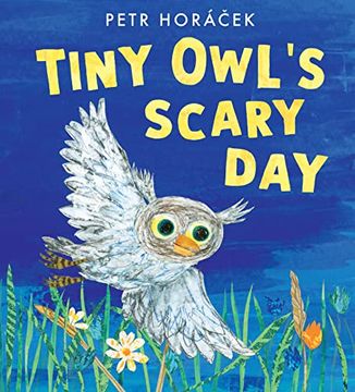 portada Tiny Owl's Scary day (en Inglés)