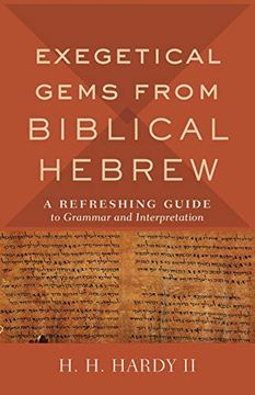 portada Exegetical Gems From Biblical Hebrew: A Refreshing Guide to Grammar and Interpretation (in English)