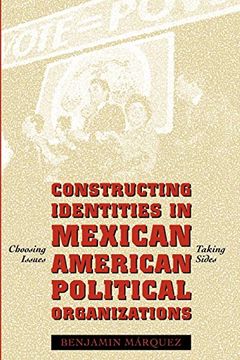 portada Constructing Identities in Mexican-American Political Organizations: Choosing Issues, Taking Sides (en Inglés)