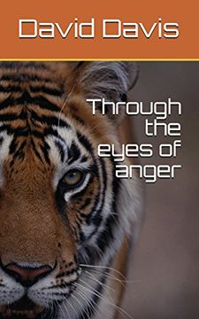 portada Through the Eyes of Anger (en Inglés)