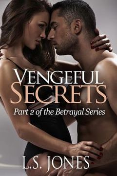 portada Vengeful Secrets (en Inglés)