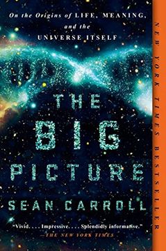 portada The big Picture: On the Origins of Life, Meaning, and the Universe Itself (en Inglés)