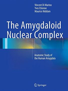 portada The Amygdaloid Nuclear Complex: Anatomic Study of the Human Amygdala
