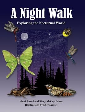 portada A Night Walk: Exploring the Nocturnal World (en Inglés)