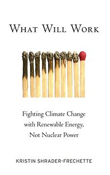 portada What Will Work: Fighting Climate Change With Renewable Energy, not Nuclear Power (Environmental Ethics and Science Policy Series) (in English)