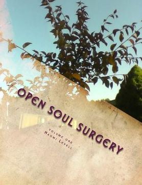 portada Volume One, Open Soul Surgery, deluxe large print color edition: The Seer