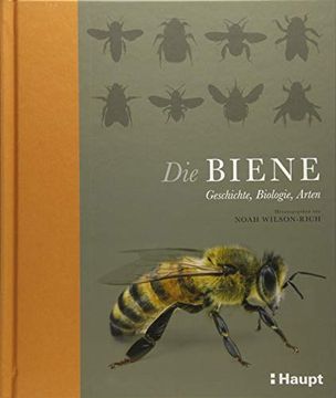 portada Die Biene: Geschichte, Biologie, Arten (in German)
