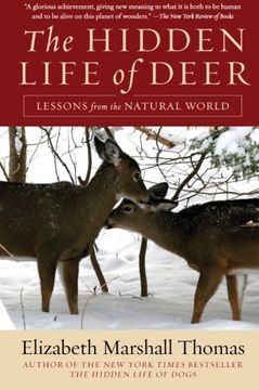 portada The Hidden Life of Deer: Lessons From the Natural World (en Inglés)