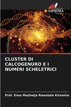 portada Cluster Di Calcogenuro E I Numeri Scheletrici (en Italiano)