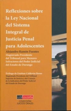 portada REFLEXIONES SOBRE LA LEY NACIONAL DEL SISTEMA INTEGRAL DE JUSTICIA PENAL PARA ADOLESCENTES