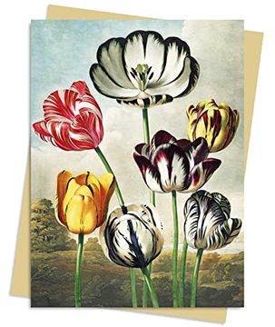 portada Temple of Flora: Tulips Greeting Card Pack: Pack of 6 (Greeting Cards) (in English)