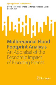 portada Multiregional Flood Footprint Analysis: An Appraisal of the Economic Impact of Flooding Events (en Inglés)
