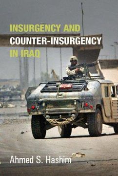 portada Insurgency and Counter-Insurgency in Iraq (Crises in World Politics) (in English)