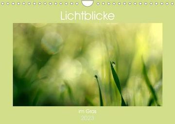 portada Lichtblicke im Gras (Wandkalender 2023 din a4 Quer) (en Alemán)