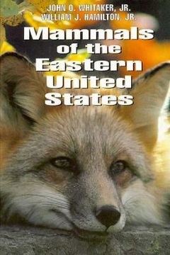portada mammals of the eastern united states: politics and memory in the yeltsin era (en Inglés)