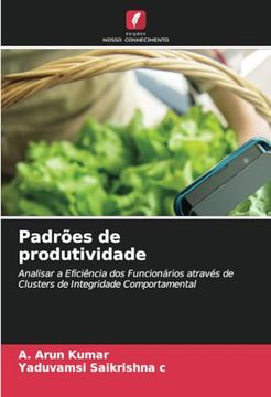 portada Padrões de Produtividade: Analisar a Eficiência dos Funcionários Através de Clusters de Integridade Comportamental (en Portugués)