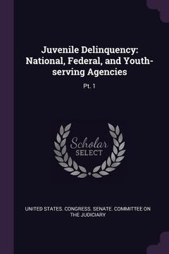 portada Juvenile Delinquency: National, Federal, and Youth-serving Agencies: Pt. 1 (en Inglés)