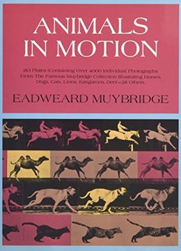 portada Animals in Motion (Dover Anatomy for Artists) (in English)