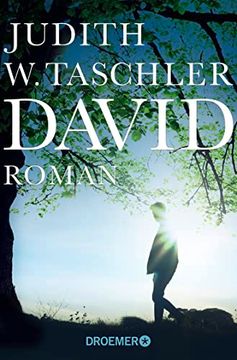 portada David: Roman (in German)
