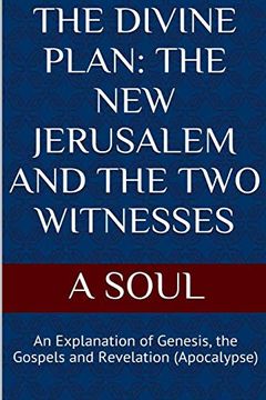 portada The Divine Plan: The new Jerusalem and the two Witnesses (en Inglés)