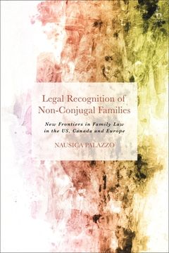 portada Legal Recognition of Non-Conjugal Families: New Frontiers in Family Law in the US, Canada and Europe (in English)