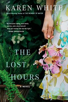 portada The Lost Hours (in English)